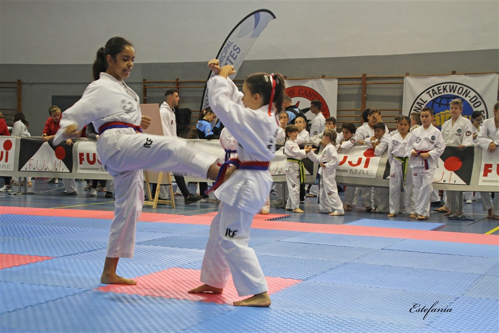 Copa Seul 2018 (388).jpg